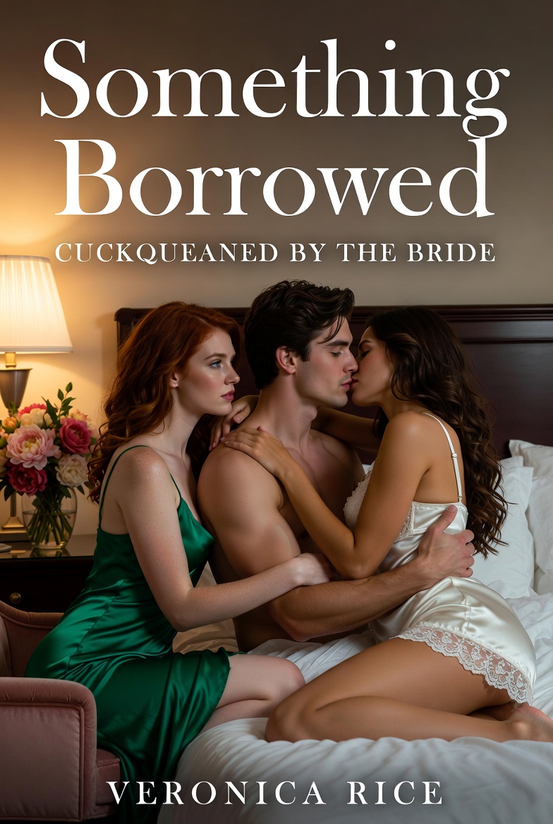 Cover of Something Borrowed